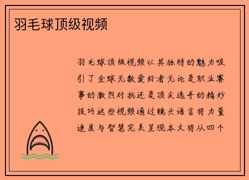 羽毛球顶级视频